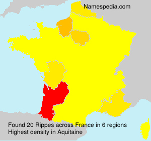 Rippes Rippes