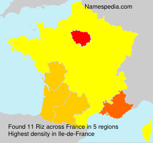 Surname Riz in France Surname Riz in France