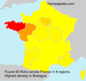Surname Roho in France Surname Roho in France
