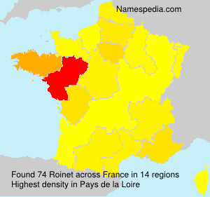 Surname Roinet in France Surname Roinet in France
