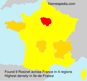 Surname Rosinet in France Surname Rosinet in France