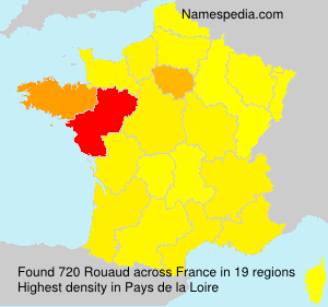 Surname Rouaud in France Surname Rouaud in France
