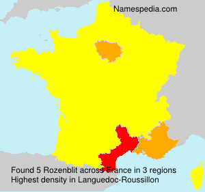 Surname Rozenblit in France Surname Rozenblit in France