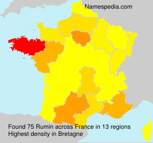 Surname Rumin in France Surname Rumin in France