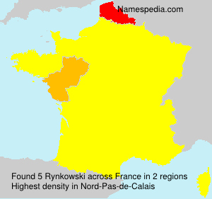 Surname Rynkowski in France Surname Rynkowski in France