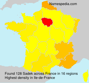 Surname Sadek in France Surname Sadek in France