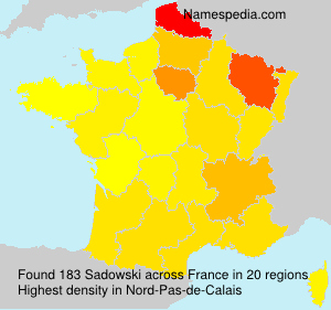 Surname Sadowski in France Surname Sadowski in France