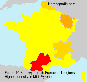 Surname Sadowy in France Surname Sadowy in France