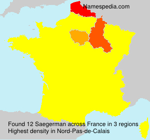 Surname Saegerman in France Surname Saegerman in France