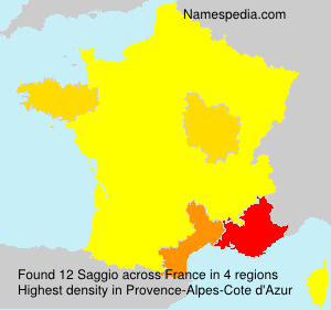 Surname Saggio in France
