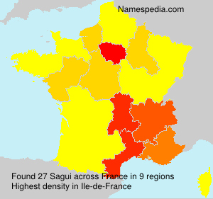 Sagui Sagui
