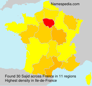 Surname Sajid in France Surname Sajid in France