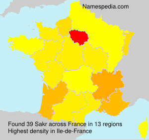 Surname Sakr in France Surname Sakr in France