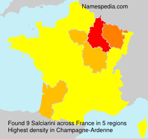 Salciarini Salciarini