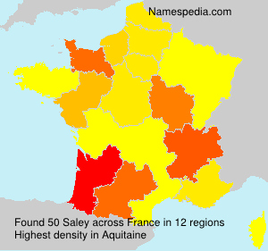 Surname Saley in France Surname Saley in France
