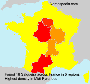 Surname Salgueira in France Surname Salgueira in France