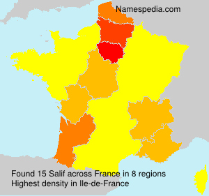 Surname Salif in France Surname Salif in France