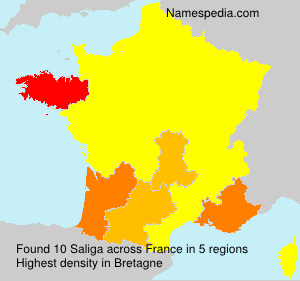 Surname Saliga in France Surname Saliga in France