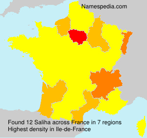 Surname Saliha in France Surname Saliha in France