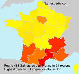 Surname Salinas in France