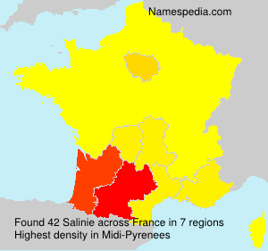 Surname Salinie in France Surname Salinie in France
