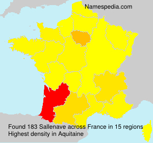 Surname Sallenave in France Surname Sallenave in France