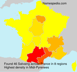 Surname Salvaing in France Surname Salvaing in France