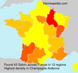 Surname Salvin in France Surname Salvin in France