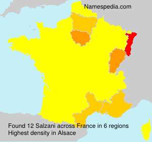 Surname Salzani in France Surname Salzani in France