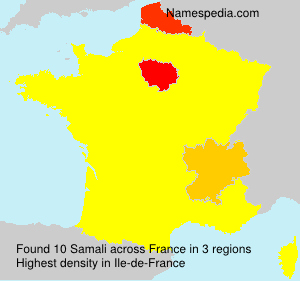 Surname Samali in France Surname Samali in France