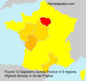 Surname Sapateiro in France Surname Sapateiro in France