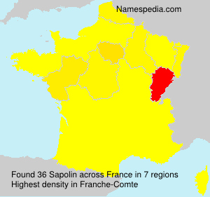 Sapolin Sapolin