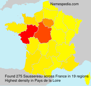 Surname Saussereau in France Surname Saussereau in France