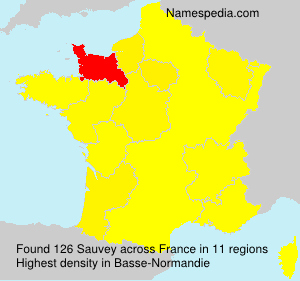 Surname Sauvey in France