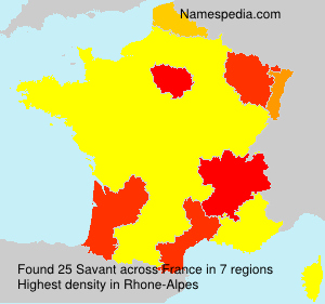 Savant Savant