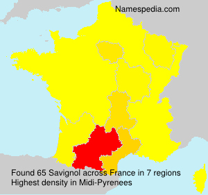 Surname Savignol in France