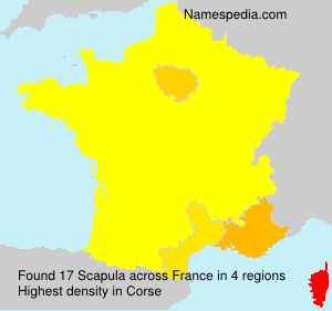 Surname Scapula in France Surname Scapula in France