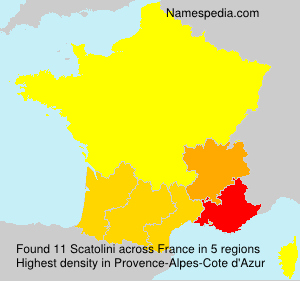 Surname Scatolini in France