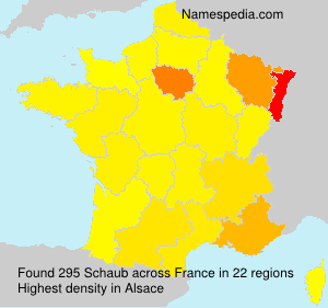 Surname Schaub in France