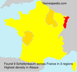 Surname Schellenbaum in France Surname Schellenbaum in France