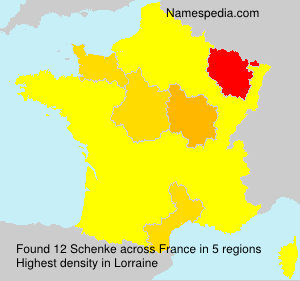 Surname Schenke in France