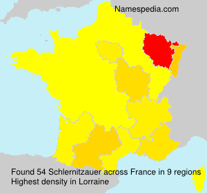 Surname Schlernitzauer in France Surname Schlernitzauer in France