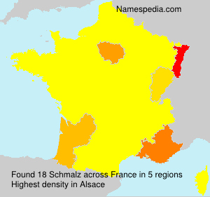Surname Schmalz in France Surname Schmalz in France