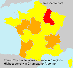 Surname Schmittel in France Surname Schmittel in France