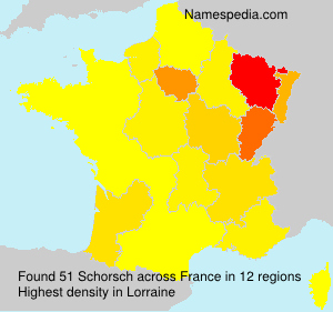 Surname Schorsch in France