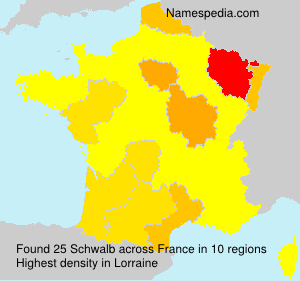Surname Schwalb in France Surname Schwalb in France