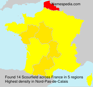 Surname Scourfield in France Surname Scourfield in France