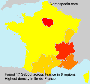 Surname Seboui in France