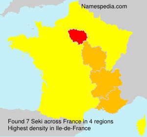 Surname Seki in France Surname Seki in France
