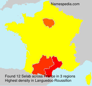Surname Selab in France Surname Selab in France